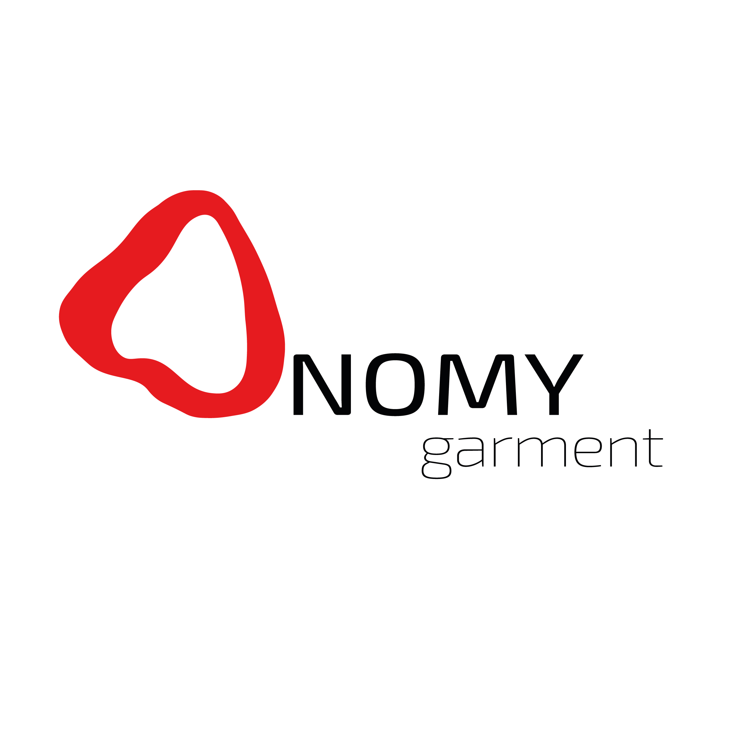 Anomy garment